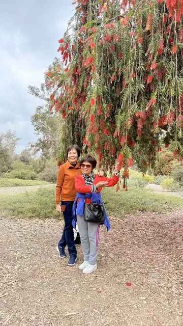 Two visitors posing under cascading red blossoms