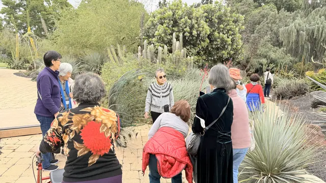 The group strolling through a cactus and succulent garden