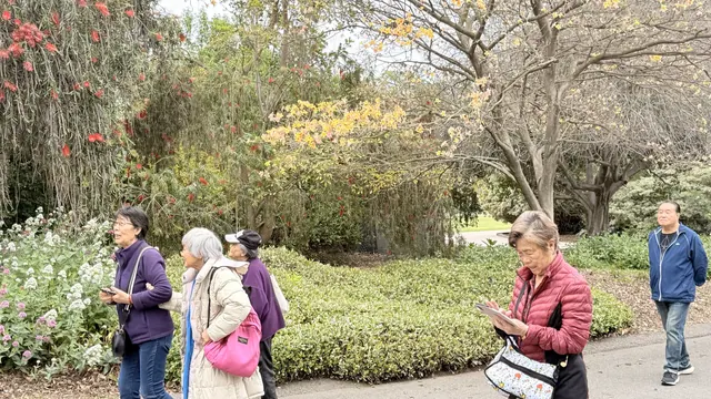 Visitors strolling past flowering trees and shrubs