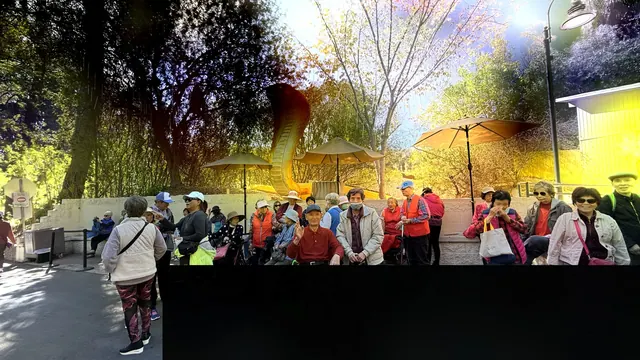 Panoramic group photo near the snake lantern display