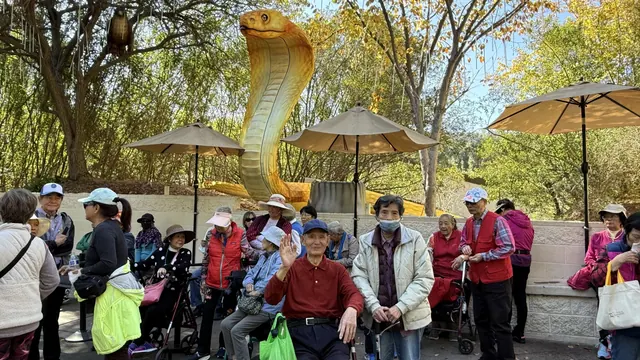Residents gathered in front of the golden snake lantern
