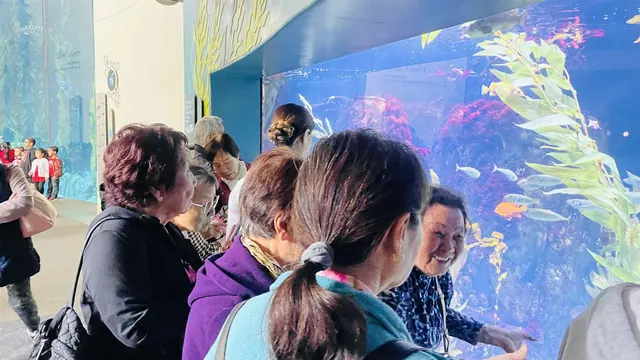 Residents viewing marine life in a large tank during the Long Beach Aquarium spring outing
